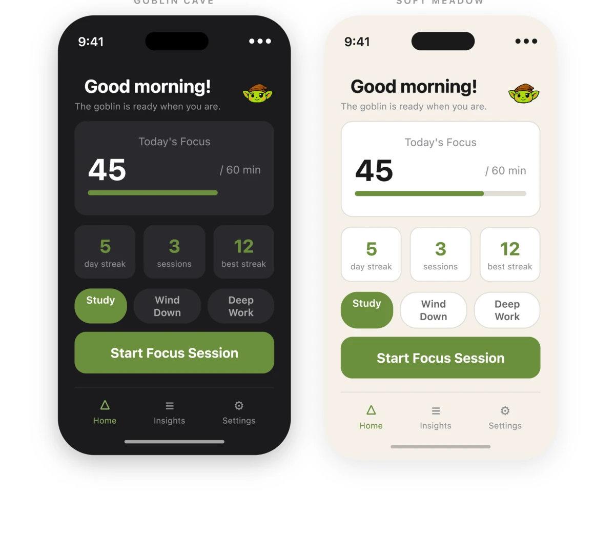 Home dashboard showing today's focus progress, streaks, and quick-start presets in both dark and light themes